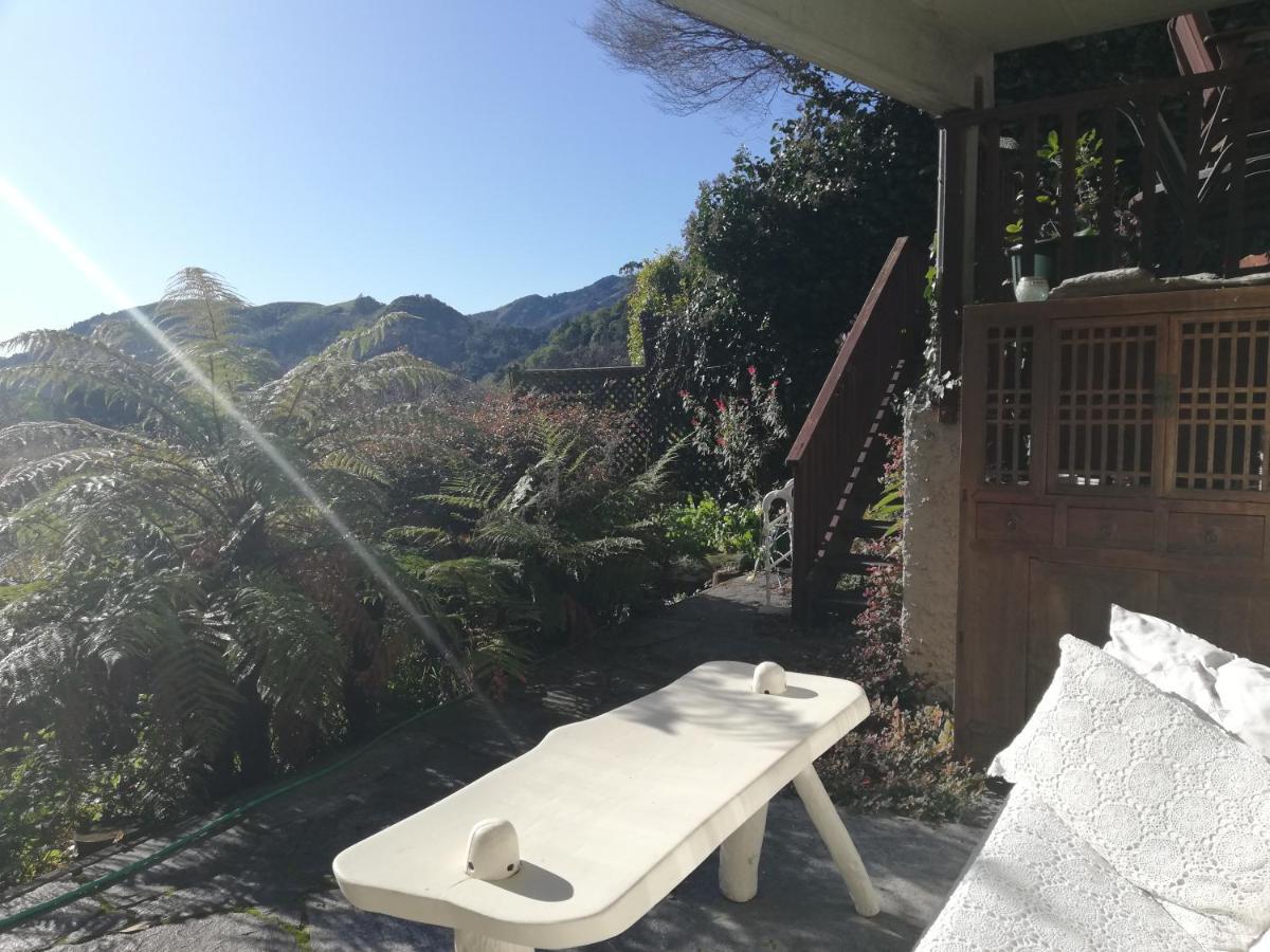 Joya Garden&Villa Studios Nelson Exterior foto